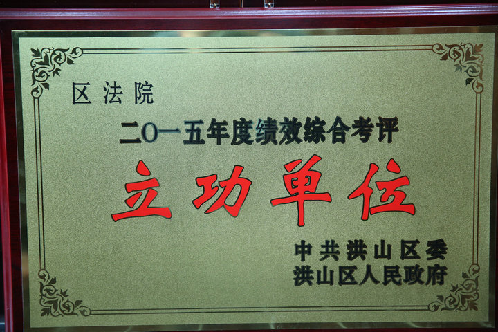 我院被评为2015年度全区绩效综合考评立功单位.JPG