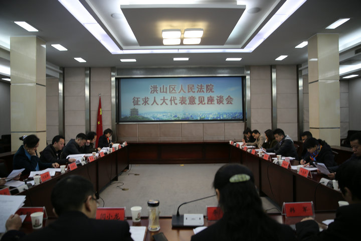 12月12日，12月13日上午，我院召开征求人大代表意见座谈会.JPG